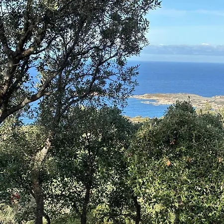 Monte Ortu Kemp Lumio (Corsica)