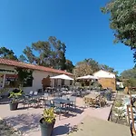 Monte Ortu Campingplads Lumio (Corsica)