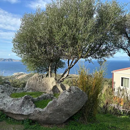 Monte Ortu Parque de Campismo Lumio (Corsica)