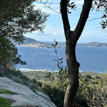 Campsite Monte Ortu *