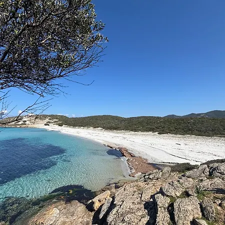 Monte Ortu * Lumio (Corsica)