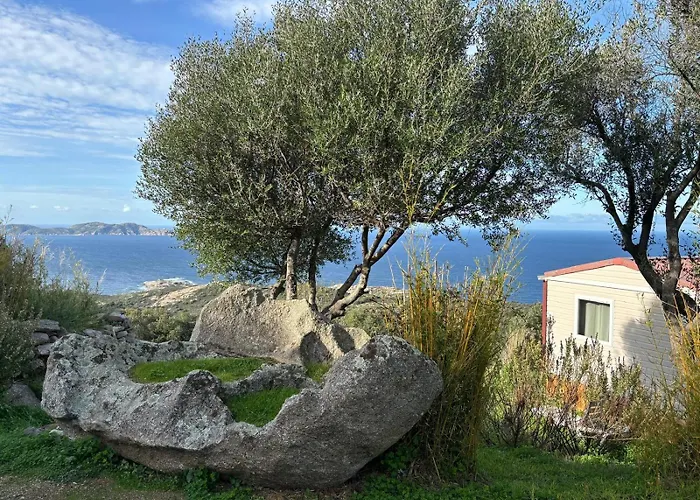 Monte Ortu Camping Lumio (Corsica)