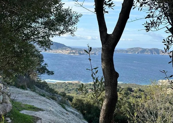 Κάμπινγκ Monte Ortu *