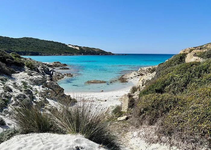 Κάμπινγκ Monte Ortu *