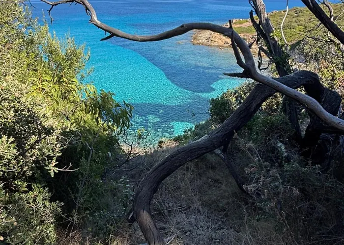 Κάμπινγκ Monte Ortu