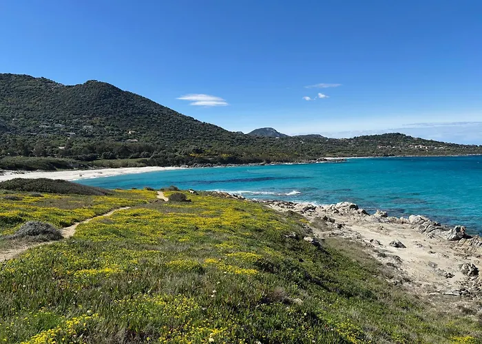 Monte Ortu Κάμπινγκ
