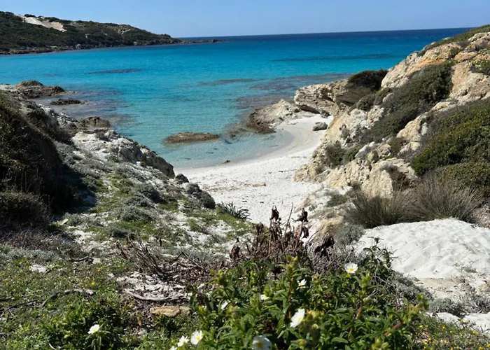 Monte Ortu Camping *