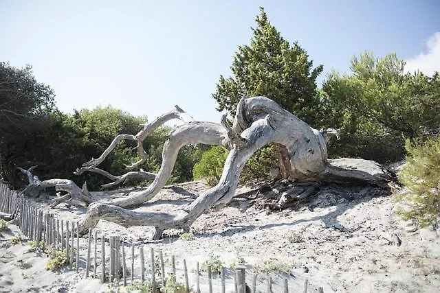 Κάμπινγκ Monte Ortu
