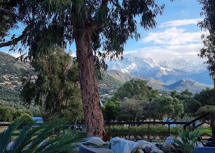 Κάμπινγκ Monte Ortu *