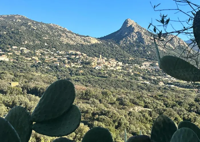 Monte Ortu Camping *