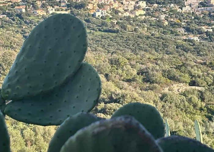 Monte Ortu *